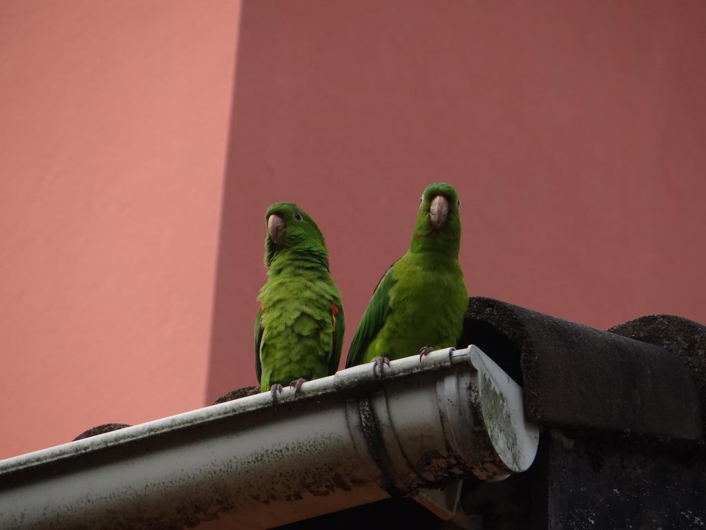 Pousada Da Mantiqueira Visconde de Mauá Exterior foto